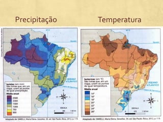 Precipitação Temperatura
 