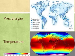 Precipitação
Temperatura
 
