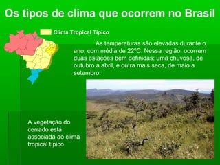 Os tipos de clima que ocorrem no Brasil
Clima Tropical Típico
As temperaturas são elevadas durante o
ano, com média de 22ºC. Nessa região, ocorrem
duas estações bem definidas: uma chuvosa, de
outubro a abril, e outra mais seca, de maio a
setembro.
A vegetação do
cerrado está
associada ao clima
tropical típico
 