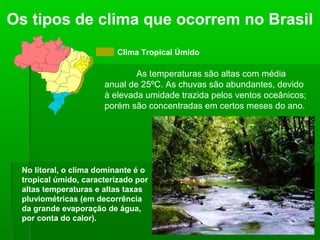 Os tipos de clima que ocorrem no Brasil
Clima Tropical Úmido
As temperaturas são altas com média
anual de 25ºC. As chuvas são abundantes, devido
à elevada umidade trazida pelos ventos oceânicos;
porém são concentradas em certos meses do ano.
No litoral, o clima dominante é o
tropical úmido, caracterizado por
altas temperaturas e altas taxas
pluviométricas (em decorrência
da grande evaporação de água,
por conta do calor).
 