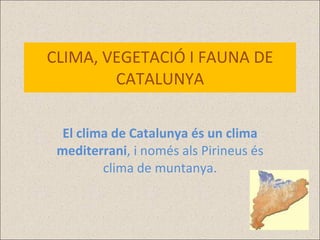 CLIMA, VEGETACIÓ I FAUNA DE CATALUNYA El clima de Catalunya és un clima mediterrani , i només als Pirineus és clima de muntanya. 