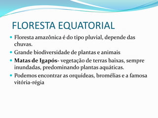 FLORESTA EQUATORIAL
 Floresta amazônica é do tipo pluvial, depende das

chuvas.
 Grande biodiversidade de plantas e animais
 Matas de Igapós- vegetação de terras baixas, sempre
inundadas, predominando plantas aquáticas.
 Podemos encontrar as orquídeas, bromélias e a famosa
vitória-régia

 