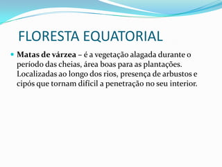 FLORESTA EQUATORIAL
 Matas de várzea – é a vegetação alagada durante o

período das cheias, área boas para as plantações.
Localizadas ao longo dos rios, presença de arbustos e
cipós que tornam difícil a penetração no seu interior.

 