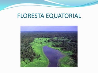 FLORESTA EQUATORIAL

 