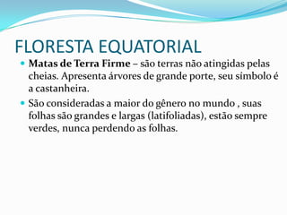 FLORESTA EQUATORIAL
 Matas de Terra Firme – são terras não atingidas pelas

cheias. Apresenta árvores de grande porte, seu símbolo é
a castanheira.
 São consideradas a maior do gênero no mundo , suas
folhas são grandes e largas (latifoliadas), estão sempre
verdes, nunca perdendo as folhas.

 