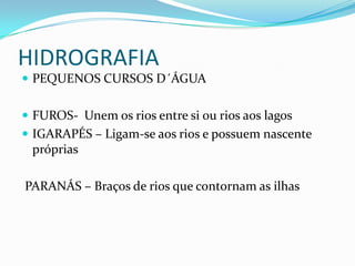 HIDROGRAFIA
 PEQUENOS CURSOS D´ÁGUA
 FUROS- Unem os rios entre si ou rios aos lagos

 IGARAPÉS – Ligam-se aos rios e possuem nascente

próprias
PARANÁS – Braços de rios que contornam as ilhas

 