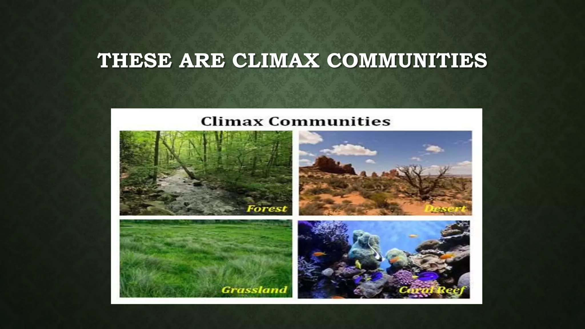 Climax community presentation.pptx