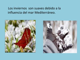 Los inviernos son suaves debido a la
influencia del mar Mediterráneo.

 