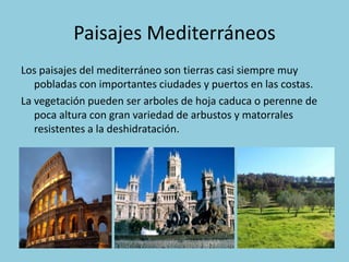Paisajes Mediterráneos
Los paisajes del mediterráneo son tierras casi siempre muy
pobladas con importantes ciudades y puertos en las costas.
La vegetación pueden ser arboles de hoja caduca o perenne de
poca altura con gran variedad de arbustos y matorrales
resistentes a la deshidratación.

 