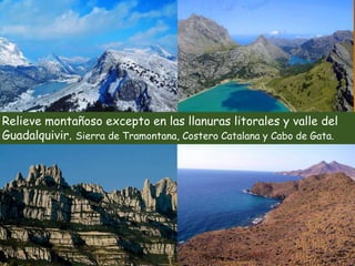 Relieve montañoso excepto en las llanuras litorales y valle del 
Guadalquivir. Sierra de Tramontana, Costero Catalana y Cabo de Gata. 
 