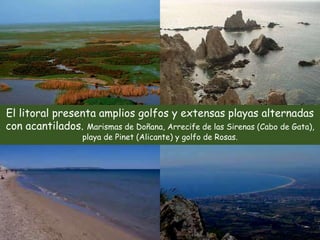 El litoral presenta amplios golfos y extensas playas alternadas 
con acantilados. Marismas de Doñana, Arrecife de las Sirenas (Cabo de Gata), 
playa de Pinet (Alicante) y golfo de Rosas. 
 