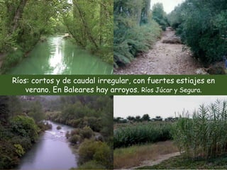Ríos: cortos y de caudal irregular, con fuertes estiajes en 
verano. En Baleares hay arroyos. Ríos Júcar y Segura. 
 