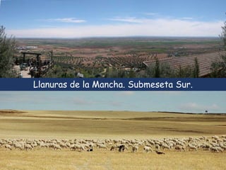 Llanuras de la Mancha. Submeseta Sur. 
 