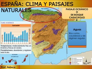 ESPAÑA: CLIMA Y PAISAJES 
NATURALES 
Prof. Rebeca 
PAISAJE OCEÁNICO 
O 
DE BOSQUE 
CADUCIFOLIO 
Vegetación 
Formada por 
Fauna 
Relieve 
Costero 
bosques 
Aguas 
caducifolios 
(hayas, fresnos, 
ciervo, urogallo, 
lobo, garduña, 
gato montés y 
topillo rojo, 
nutria, zorro... 
Ríos cortos, 
caudalosos castaños, 
y de 
régimen regular. 
Alto, recortado 
y rocoso. 
robles, olmos…), 
landas y 
praderas. 
 