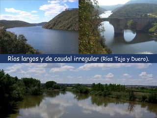 Ríos largos y de caudal irregular (Ríos Tajo y Duero). 
 