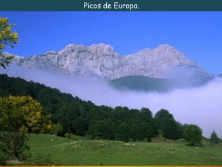 Picos de Europa. 
 