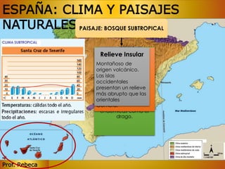 ESPAÑA: CLIMA Y PAISAJES 
NATURALES 
Prof. Rebeca 
PAISAJE: BOSQUE SUBTROPICAL 
Aguas 
Fauna 
Relieve Insular 
No Vegetación 
hay ríos y los 
Montañoso de 
arroyos Propia son 
origen volcánico. 
de zonas 
escasos. 
Las islas 
occidentales 
presentan un relieve 
más abrupto que las 
orientales 
Pinzón azul, 
pico picapinos, 
paloma turqué, 
paloma rabiche, 
lagarto gigante de El 
Hierro y el lagarto 
gigante de La 
Gomera. 
desérticas en las zonas 
más áridas (cardones, 
tabaibas, pitas, 
chumberas…) y en las 
zonas más húmedas 
crecen bosques de 
laurisilva. Hay especies 
endémicas como el 
drago. 
 