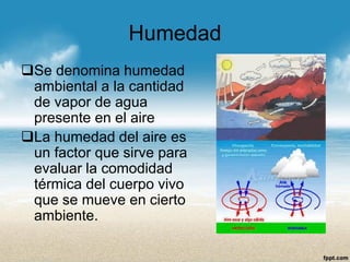 Humedad 
Se denomina humedad ambiental a la cantidad de vapor de agua presente en el aire 
La humedad del aire es un factor que sirve para evaluar la comodidad térmica del cuerpo vivo que se mueve en cierto ambiente.  