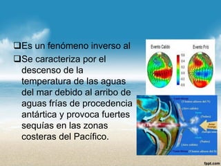 Es un fenómeno inverso al 
Se caracteriza por el descenso de la temperatura de las aguas del mar debido al arribo de aguas frías de procedencia antártica y provoca fuertes sequías en las zonas costeras del Pacífico.  
