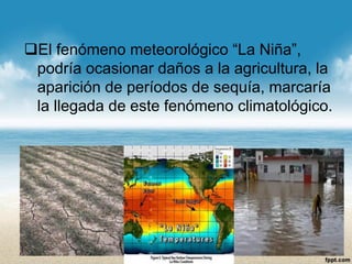 El fenómeno meteorológico “La Niña”, podría ocasionar daños a la agricultura, la aparición de períodos de sequía, marcaría la llegada de este fenómeno climatológico.  