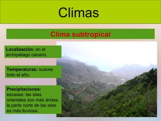 Climas
Clima subtropical
Localización: en el
archipiélago canario.
Temperaturas: suaves
todo el año.
Precipitaciones:
escasas; las islas
orientales son más áridas;
la parte norte de las islas
es más lluviosa.

 