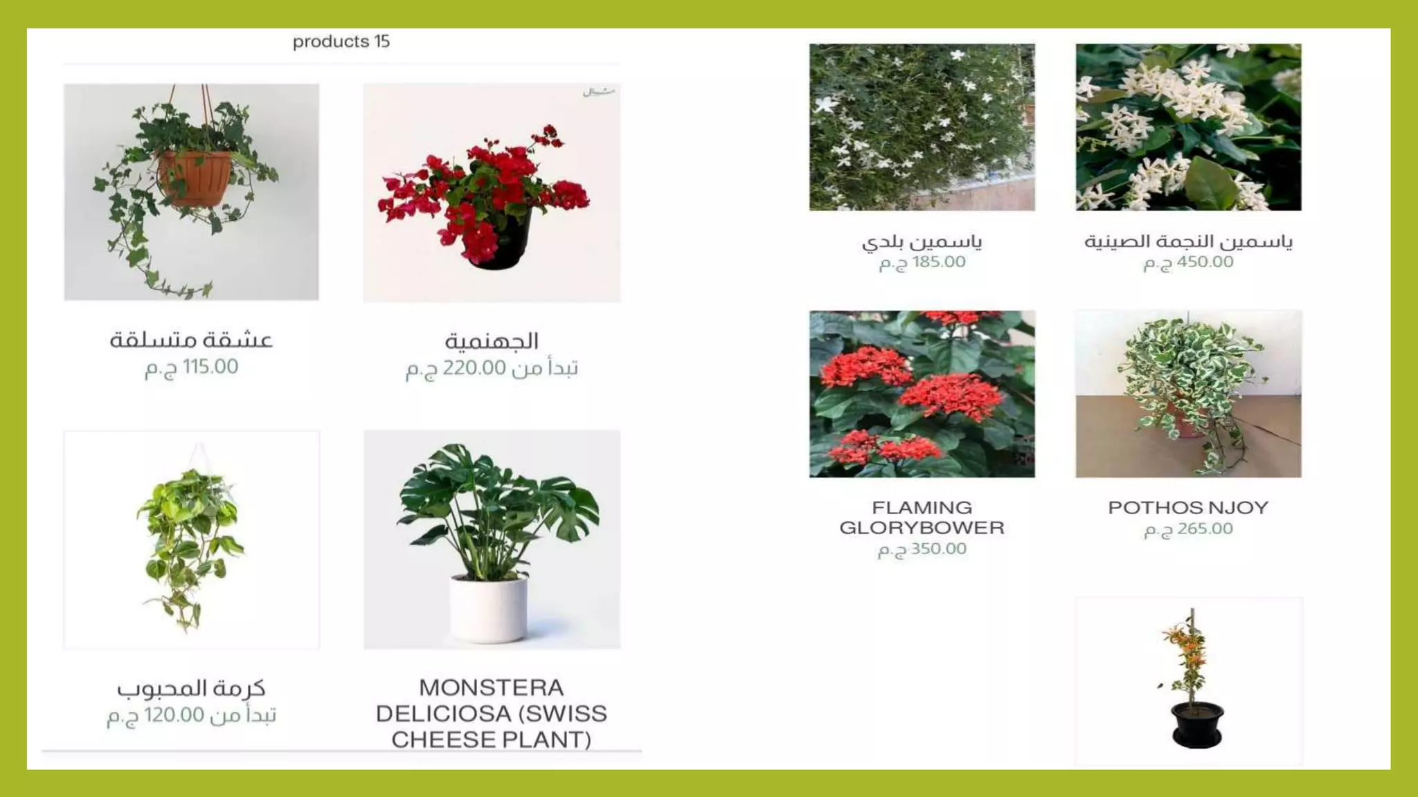 Climbers Plants Landscape Pptx