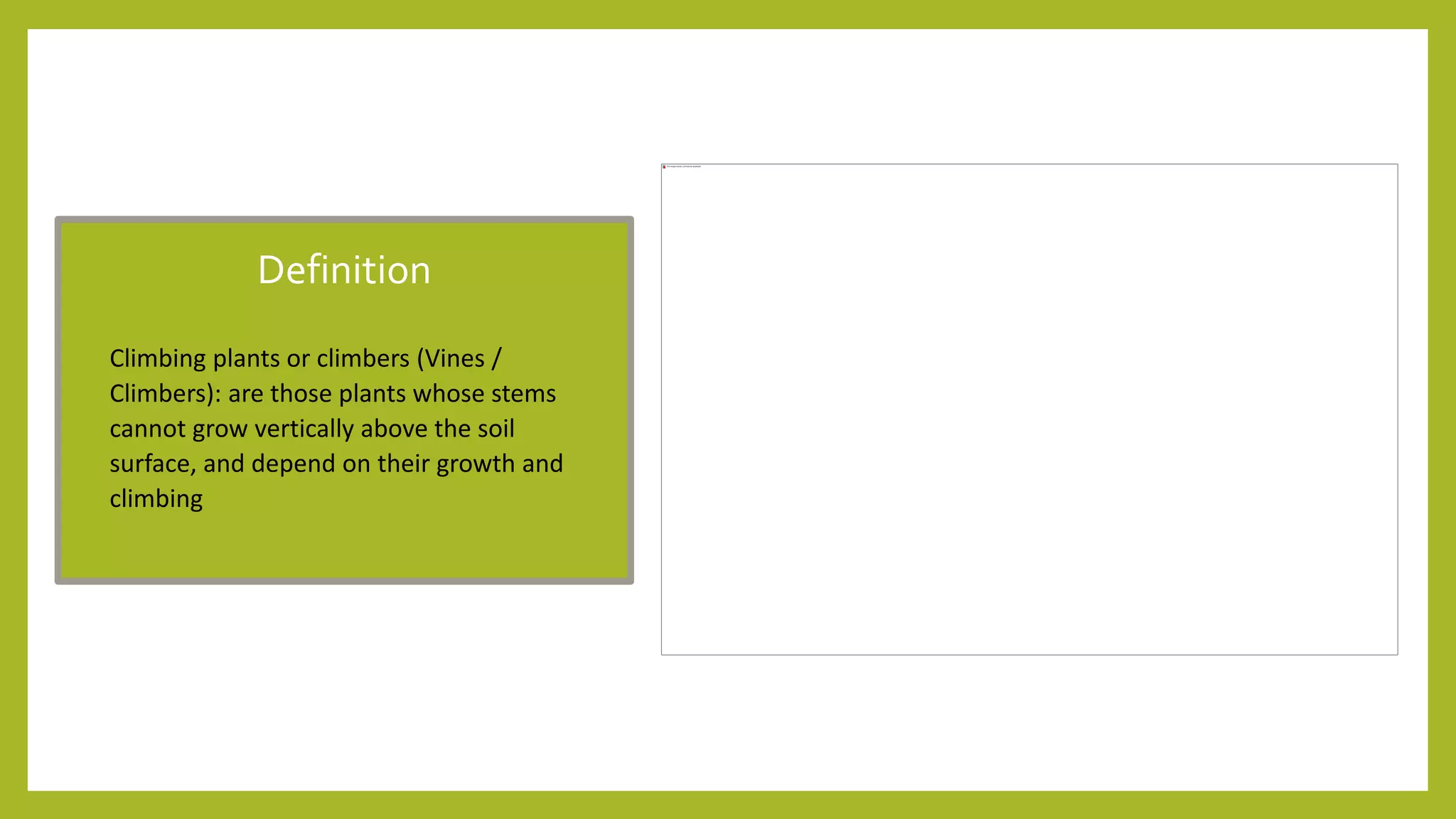 Climbers Plants Landscape Pptx