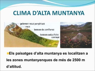 Els paisatges d’alta muntanya es localitzen a les zones muntanyenques de més de 2500 m d’altitud. 