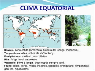 Situació : zona càlida (Amazònia, Cubeta del Congo, Indonèsia). Temperatures :  altes, sobre els 25º tot l'any.  Precipitacions : moltes i quasi diàries. Rius : llargs i molt cabalosos. Vegetació :  Selva o jungla  : bosc espès sempre verd. Fauna :  ocells, serps, micos, insectes, cocodrils, orangutans, ximpanzés i goril·les, hipopòtams 
