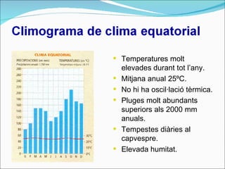 Temperatures molt elevades durant tot l’any.  Mitjana anual 25ºC. No hi ha oscil·lació tèrmica. Pluges molt abundants superiors als 2000 mm anuals. Tempestes diàries al capvespre. Elevada humitat. 