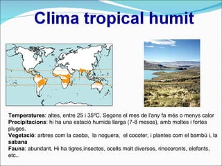 Temperatures : altes, entre 25 i 35ºC. Segons el mes de l'any fa més o menys calor  Precipitacions : hi ha una estació humida llarga (7-8 mesos), amb moltes i fortes pluges.  Vegetació : arbres com la caoba,  la noguera,  el cocoter, i plantes com el bambú i, la  sabana Fauna : abundant. Hi ha tigres,insectes, ocells   molt diversos, rinoceronts, elefants, etc..  