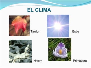 Hivern Tardor Estiu Primavera EL CLIMA 
