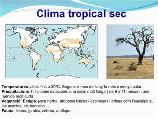 Temperatures : altes, fins a 30ºC. Segons el mes de l'any fa més o menys calor . Precipitacions : hi ha dues estacions: una seca, molt llarga ( de 9 a 11 mesos) i una humida molt curta. Vegetació :  Estepa : poca herba, arbustos baixos i espinosos i arbres com l'eucaliptus, les acàcies, els baobabs....  Fauna : lleons, girafes, zebres, antílops ... 