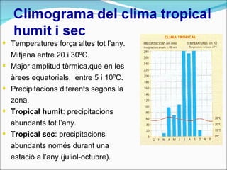 Temperatures força altes tot l’any. Mitjana entre 20 i 30ºC.  Major amplitud tèrmica,que en les àrees equatorials,  entre 5 i 10ºC.  Precipitacions diferents segons la zona. Tropical humit : precipitacions abundants tot l’any. Tropical sec : precipitacions abundants només durant una estació a l’any (juliol-octubre). 