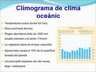 Temperatures suaus durant tot l’any. Poca oscil·lació tèrmica. Pluges abundants,(més de 1000 mm anuals) sobretot a la tardor i l’hivern. La vegetació típica és el bosc caducifoli. Aquest bosc ocupa el 15% de la superfície forestal del planeta Les principals espècies són els roures, faigs i castanyers. 
