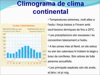 Temperatures extremes, molt altes a l’estiu i força baixes a l’hivern amb oscil·lacions tèrmiques de fins a 25ºC. Les precipitacions són escasses i es concentren bàsicament a l’estiu. A les zones més al Nord, on els estius no són tan calorosos hi trobem la taigà o bosc de coníferes.   Són arbres de fulla perenne aciculifolis. Les principals espècies són els avets, el làrix i el pi roig. 