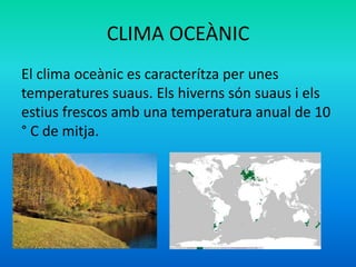 CLIMA OCEÀNIC
El clima oceànic es caracterítza per unes
temperatures suaus. Els hiverns són suaus i els
estius frescos amb una temperatura anual de 10
° C de mitja.

 