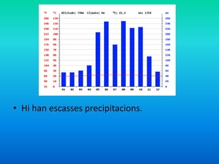 • Hi han escasses precipitacions.

 