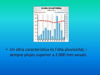 • Un altra característica és l'alta pluviositat, i
sempre plujes superior a 2.000 mm anuals.

 