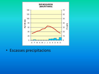 • Escasses precipitacions

 