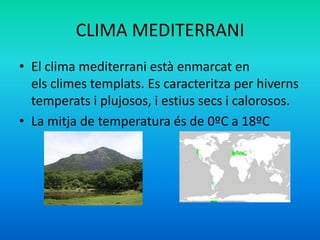 CLIMA MEDITERRANI
• El clima mediterrani està enmarcat en
els climes templats. Es caracteritza per hiverns
temperats i plujosos, i estius secs i calorosos.
• La mitja de temperatura és de 0ºC a 18ºC

 