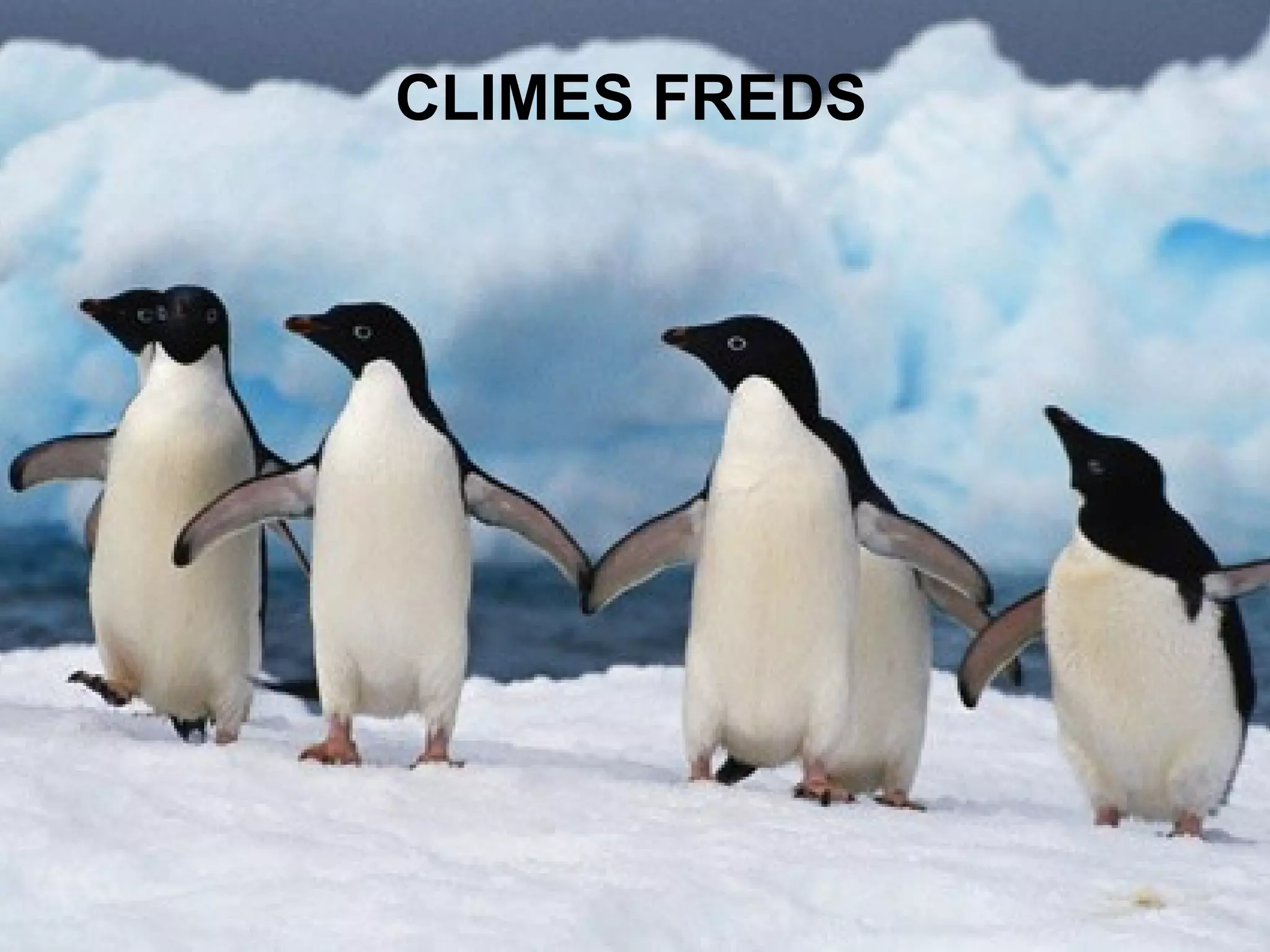 CLIMES FREDS
 