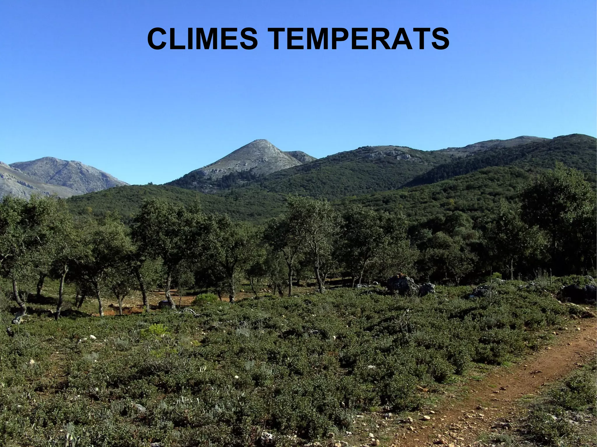 CLIMES TEMPERATS
 
