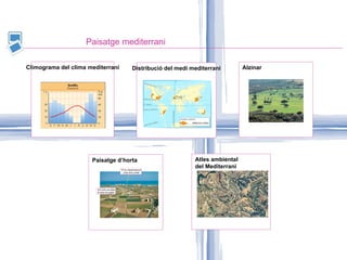 Paisatge mediterrani Climograma del clima mediterrani Distribució del medi mediterrani Alzinar Paisatge d’horta Atles ambiental  del Mediterrani 