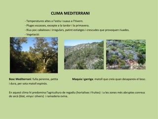 CLIMA MEDITERRANI
            - Temperatures altes a l’estiu i suaus a l’hivern.
            - Pluges escasses, excepte a la tardor i la primavera.
            - Rius poc cabalosos i irregulars, patint estiatges i crescudes que provoquen riuades.
            - Vegetació:




Bosc Mediterrani: fulla perenne, petita            Maquia i garriga: matoll que creix quan desapareix el bosc.
i dura, per sota matoll espinós.

En aquest clima hi predomina l’agricultura de regadiu (hortalises i fruites) i a les zones més abruptes conreus
de secà (blat, vinya i olivers) i ramaderia ovina.
 