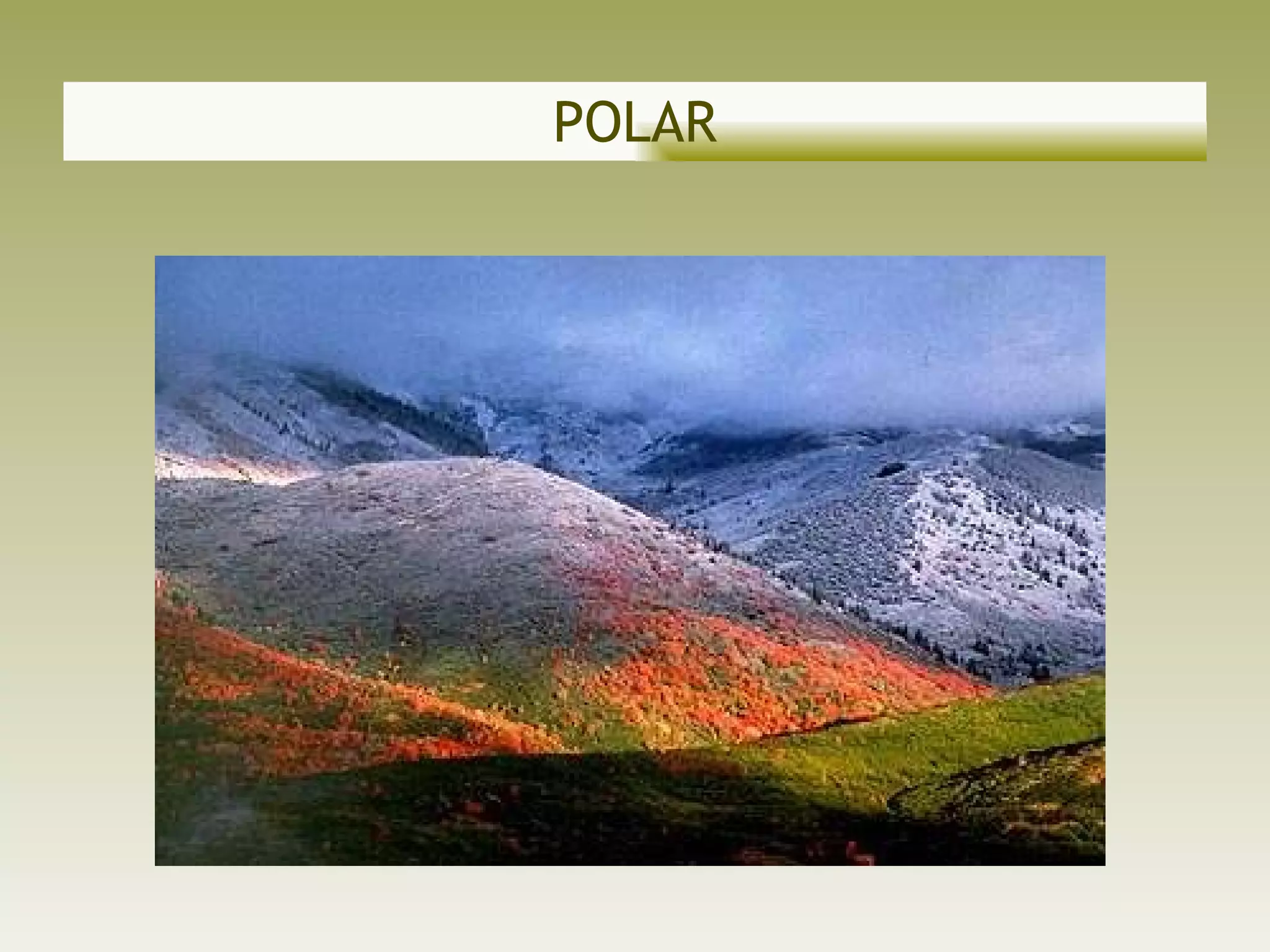 POLAR 