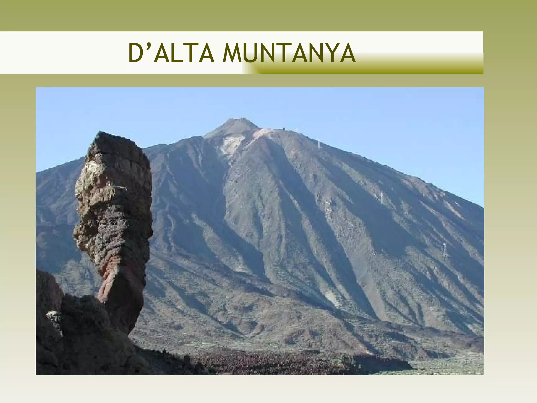 D’ALTA MUNTANYA 