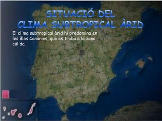 El clima subtropical àrid hi predomina en
les illes Canàries, que es troba a la zona
càlida.
 