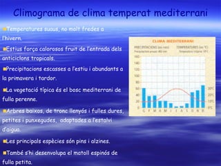 Climograma de clima temperat mediterrani Temperatures suaus, no molt fredes a l’hivern. Estius força calorosos fruit de l’entrada dels anticiclons tropicals. Precipitacions escasses a l’estiu i abundants a la primavera i tardor. La vegetació típica és el bosc mediterrani de fulla perenne. Arbres baixos, de tronc llenyós i fulles dures, petites i punxegudes,  adaptades a l’estalvi d’aigua. Les principals espècies són pins i alzines. També s’hi desenvolupa el matoll espinós de fulla petita. 