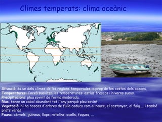Climes temperats: clima oceànic   Situació : és un dels climes de les regions temperades, a prop de les costes dels oceans.  Temperatures : l'oceà suavitza les temperatures: estius frescos i hiverns suaus.  Precipitacions : plou sovint de forma moderada. Rius : tenen un cabal abundant tot l'any perquè plou sovint. Vegetació : hi ha boscos d'arbres de fulla caduca com el roure, el castanyer, el faig ... i també prats verds  Fauna : cérvols, guineus, llops, ratolins, ocells, foques, ... 